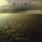 Blume - Desperate Love 🎶 Слова и текст песни