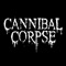Cannibal Corpse - Zero The Hero 🎶 Слова и текст песни