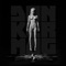 Die Antwoord - Strunk 🎶 Слова и текст песни
