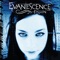 Evanescence - Bring Me To Life 🎶 Слова и текст песни