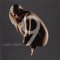 Lara Fabian - Si Tu n'As Pas d'Amour 🎶 Слова и текст песни
