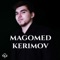 Magomed Kerimov - Не моей мечты 🎶 Слова и текст песни