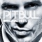 Pitbull - Bojangles (Remix) 🎶 Слова и текст песни