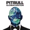 Pitbull - Wild Wild Love (feat. G.R.L.) 🎶 Слова и текст песни