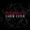 Wiz Khalifa - Cabin Fever 🎶 Слова и текст песни