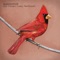Alexisonfire - No Rest 🎼 Слова и текст песни