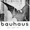 Bauhaus - Boys 🎶 Слова и текст песни