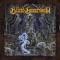 Blind Guardian - Harvest Of Sorrow 🎶 Слова и текст песни